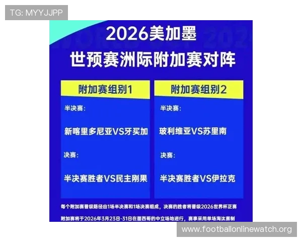 2026年世界杯参赛球队数量详细解析及未来参赛队伍预测